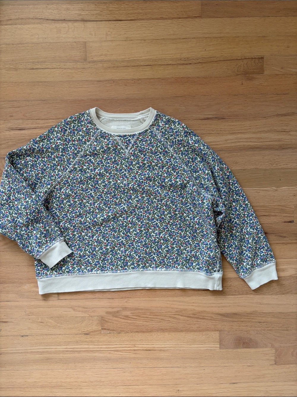 THE GREAT. Women’s Floral Crewneck Sweatshirt in Blue and Cream